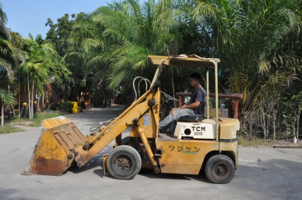 ขายรถตัก TCM SD10Z5 ดีเซล สวยเดิมจากญี่ปุ่น ยังไม่เคยใช้ในไทย 159,000เท่านั้น!!