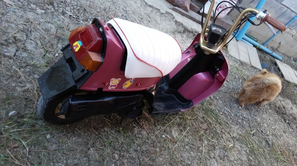 ขายแล้ว ขอบคุณพี่เสือครับ