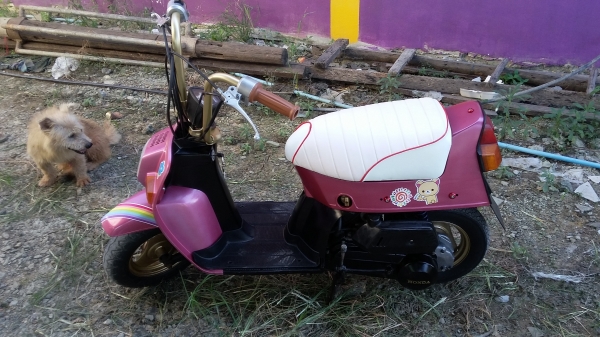 ขายแล้ว ขอบคุณพี่เสือครับ