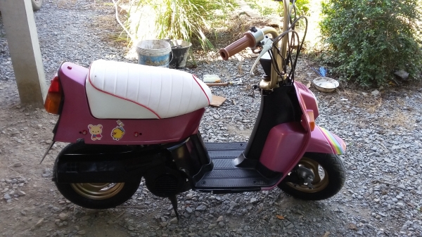 ขายแล้ว ขอบคุณพี่เสือครับ