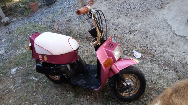 ขายแล้ว ขอบคุณพี่เสือครับ