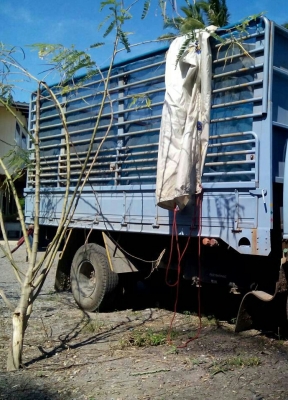 หกล้อ อีซุซุ NPR120 ปี41 ดั้มเกษตร สภาพดีสวยเดิมๆ ทะเบียนพร้อมโอน ราคา 395,000บ ถืกๆ