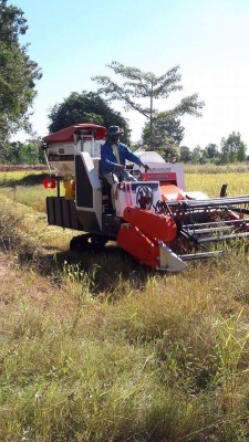 ขายรถเกี่ยวข้าว DC 60 PLUS  นิ้วสปริง