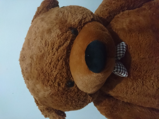 ตุ๊กตาหมีของใหม่ครับ