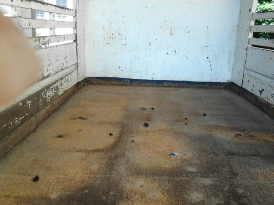 รถฮีโน่ 6 ล้อดั้ม KM - 310  117 แรงม้า.  ( มีขาย 2 คัน. )   สนใจติดต่อ  081 - 6079515