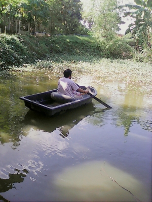 ขายเรือเมกซ์ไลนเนอร์ 2ที่นั่ง 1700บาท