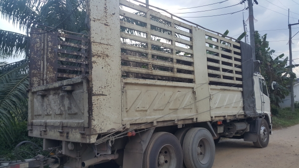 Hino fm 260 แรงม้า Hino fm 260 แรงม้า