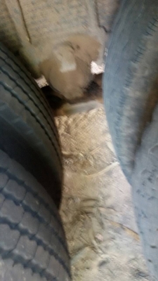 ISUZU  เด่ก้า 195 ล้อง เพลาเดียว ขายถูก