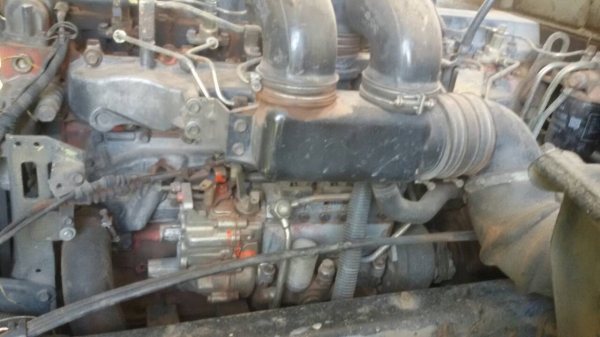 ISUZU  เด่ก้า 195 ล้อง เพลาเดียว ขายถูก