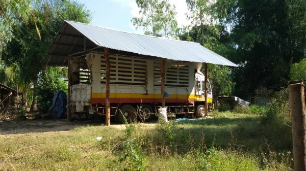 ISUZU  เด่ก้า 195 ล้อง เพลาเดียว ขายถูก