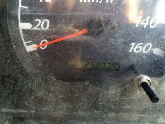 รถอีซูซุ 6 ล้อดั้ม NQR 175 แรงม้า. ปี 52  ( รถวิ่ง 25x,xxx กม. )     สนใจติดต่อ  081 - 6079515