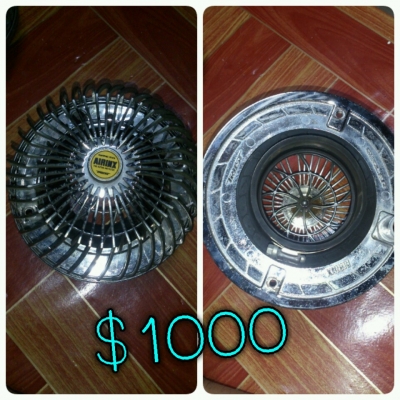 กรองเปลือยแท้ กรองเปลือยแท้