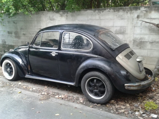 ขออนุญาตขายกระดองเต่าดำ