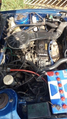 ขายอีคาสวยๆ ขายอีคาสวยๆ