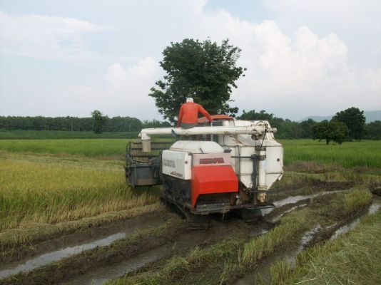 ขาย 95 GM  พร้อมใช้งาน หมดงานแล้วขายครับ เอาไปใช้งานใด้เลย