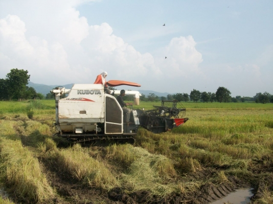 ขาย 95 GM  พร้อมใช้งาน หมดงานแล้วขายครับ เอาไปใช้งานใด้เลย