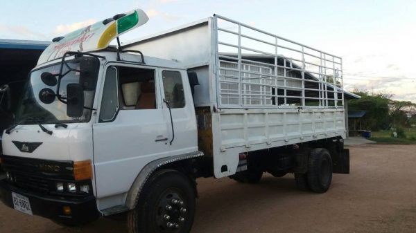 ขายรถ6ล้อ HINO เครื่อง185แรง สโลเกียร์กลาง ยาง900ขอบ20 สภาพพร้อมใช้งาน เอกสารพร้อมโอน ราคา460,000 สนใจโทร 090-8588220คุณนะ 093-3258446คุณบิว หรือเข้าดูสินค้าอื่นๆได้ที่ www.truck.in.th/498 หรือเพจFacebook ณรงค์ ซื้อขายรถมือสอง (เว็บไซต์ส่วนตัว) หรือFacebo