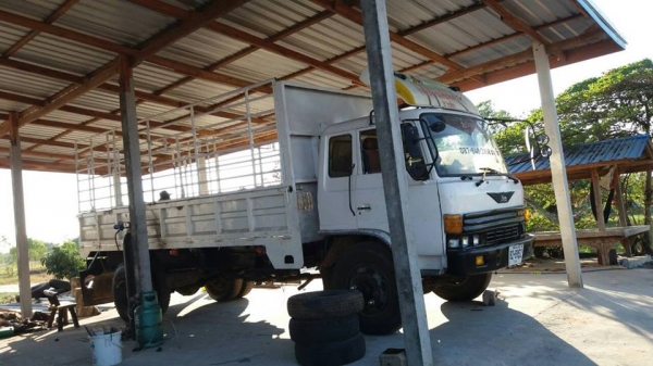 ขายรถ6ล้อ HINO เครื่อง185แรง สโลเกียร์กลาง ยาง900ขอบ20 สภาพพร้อมใช้งาน เอกสารพร้อมโอน ราคา460,000 สนใจโทร 090-8588220คุณนะ 093-3258446คุณบิว หรือเข้าดูสินค้าอื่นๆได้ที่ www.truck.in.th/498 หรือเพจFacebook ณรงค์ ซื้อขายรถมือสอง (เว็บไซต์ส่วนตัว) หรือFacebo