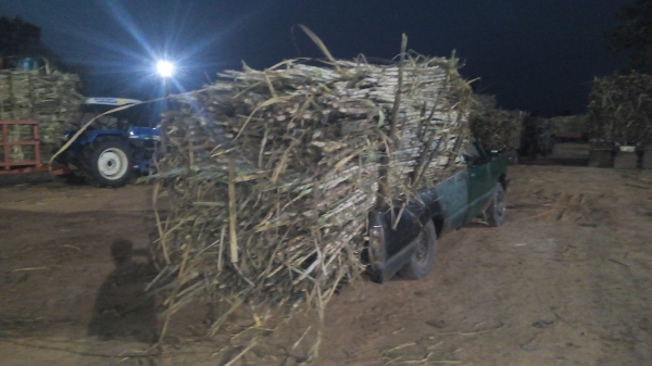 ขาย39,0000บาท 098-1039521วุฒิชัย ขาย39,0000บาท 098-1039521วุฒิชัย