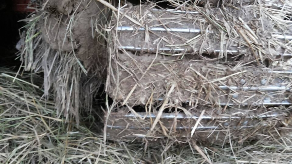 *ขายแล้วครับขอบคุณ ลูกค้า และ ขอบคุณ Truck2hand ครับ