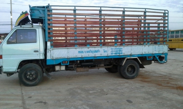 รถบรรทุก ISUZU กระบะพื้นเหล็กคอก ความยาว5เมตร