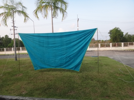 ฟรายชีส south field