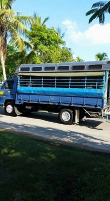 รถโดยสารisuzu 115 ติดต่อ080-1405528