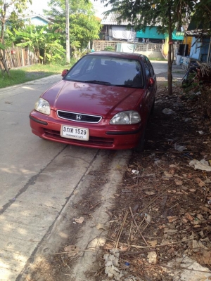 ขาย ตาโต