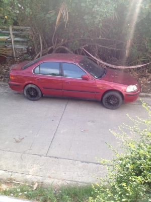 ขาย ตาโต