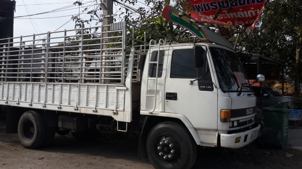 รถหกล้อ ร็อค รถห้าง เครื่อง6 BG1 ฝาส้ม 185 แรง ยางใหม่ 6 เส้น เครื่องดีไม่มีไอ คันซีสวยมาก พวงมาลัยเพาเวอร์ เบรกจิฟฟี่ แอร์เย็น รถพร้อมใช้งาน เอกสารพร้อมโอน รถหกล้อ ร็อค รถห้าง เครื่อง6 BG1 ฝาส้ม 185 แรง ยางใหม่ 6 เส้น เครื่องดีไม่มีไอ คันซีสวยมาก พวงมาลัยเพาเวอร์ เบรกจิฟฟี่ แอร์เย็น รถพร้อมใช้งาน เอกสารพร้อมโอน