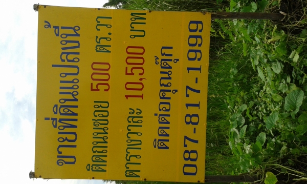 ที่ดิน เปล่า