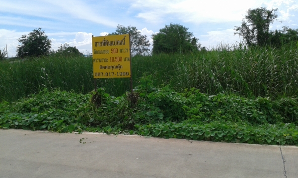 ที่ดิน เปล่า ที่ดิน เปล่า