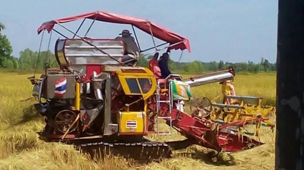 ขายรถเกี่ยวข้าว ช้างน้อย จ้าวพลัง อุ้ม1.5ตัน สภาพสวยพร้อมใช้งาน สนใจโทร 090-8588220คุณนะ 093-3258446คุณบิว หรือเข้าดูสินค้าอื่นๆได้ที่ www.truck.in.th/498 หรือเพจFacebook ณรงค์ ซื้อขายรถมือสอง (เว็บไซต์ส่วนตัว) หรือFacebook ตลาดรถมือสอง คุณนะ