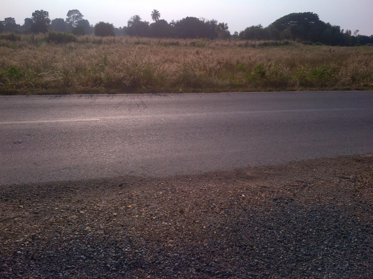 ขายที่ดินอ.เฉลิมพระเกียรติสระบุรี จำนวน 7  ไร่  ราคาเหมารวม 2600000 บาท โทร0906208746