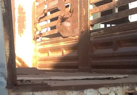 12ล้อพ่วง HINO PROFIA FN2P K13C-360HP แม่+ลูก ดั้มสหกิจฯคอกเกษตร **ขาย HINO PROFIA 360แรง 24ล้อล้อ พ่วงแม่+ลูก กระบะดั้มเหล็กคอกเกษตร สหกิจฯ สภาพพร้อมใช้งาน HINO PROFIA FN2PWE K13C-TR 360แรง ปี57 12ล้อ2คานหน้าแท้ เครื่องเดิม เกียร์เดิม ครับ เครื่องดี แน่น 12ล้อพ่วง HINO PROFIA FN2P K13C-360HP แม่+ลูก ดั้มสหกิจฯคอกเกษตร **ขาย HINO PROFIA 360แรง 24ล้อล้อ พ่วงแม่+ลูก กระบะดั้มเหล็กคอกเกษตร สหกิจฯ สภาพพร้อมใช้งาน HINO PROFIA FN2PWE K13C-TR 360แรง ปี57 12ล้อ2คานหน้าแท้ เครื่องเดิม เกียร์เดิม ครับ เครื่องดี แน่น