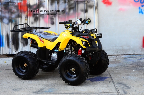 เอทีวี MINI BEAR 110 125 CC แรงจัด ขับขี่ง่าย  คล่องตัว มาตฐานส่งออก มีบริการหลังการขาย รับประกัน 1ปี