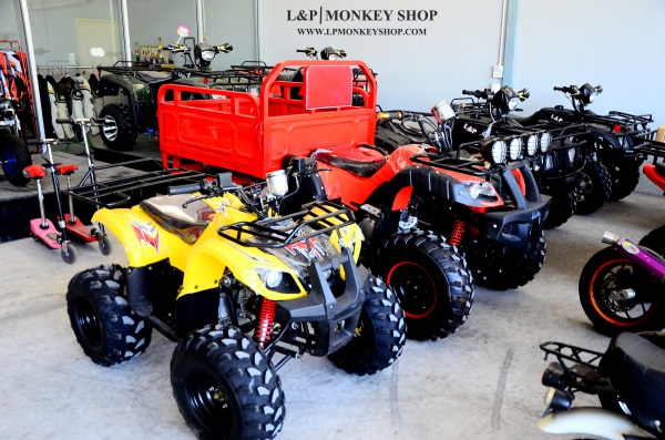 #จัดโปโมชั่นต้อนรับปีใหม่ 2016.ATV MINI BEAR เครื่องยนต์ 125cc ล้อ8"  รุ่นพิเศษ มีไมล์บอกเกียร์  ฟรีเครื่องเสียงราคา 900 มีรีโมทกันขโมยด้วยค่ะ