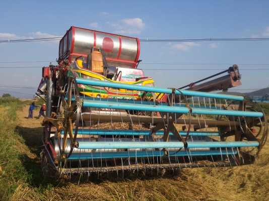 ขายรถเกี่ยวไอ้หนุ่มปี50