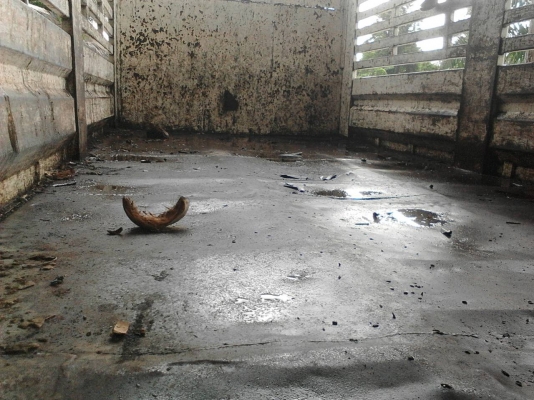 รถฮีโน่ 6 ล้อดั้ม FC - 145A   150 แรงม้า. ( รถประกอบ. )   สนใจติดต่อ  081 - 6079515