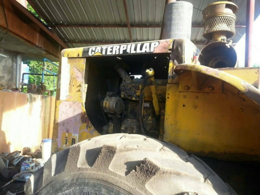 รถตัก  CAT - 950 B.   สนใจติดต่อ  081 - 6079515