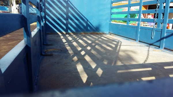 ขายหกล้อกลาง ISUZU NPR59LU5F-M-115 ปี38 สภาพสวยพร้อมใช้