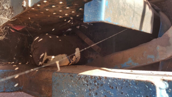 ขายรถไถ 2 เพลา FORD 7610 คานหน้า CARRARO เครื่องเสื้อลายเทอร์โบ ไม่มีทะเบียน อุปกรณ์มีผานดันหน้า และผาน 3 ขายรถไถ 2 เพลา FORD 7610 คานหน้า CARRARO เครื่องเสื้อลายเทอร์โบ ไม่มีทะเบียน อุปกรณ์มีผานดันหน้า และผาน 3