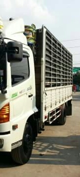 หกล้อ ฮีโน่ FC9J175 ปี51ซี่รี่500 ช่วงยาว 5.50ม สภาพสวยคู่เดิมบางทั้งคันพร้อมใช้ ทะเบียนพร้อมโอน