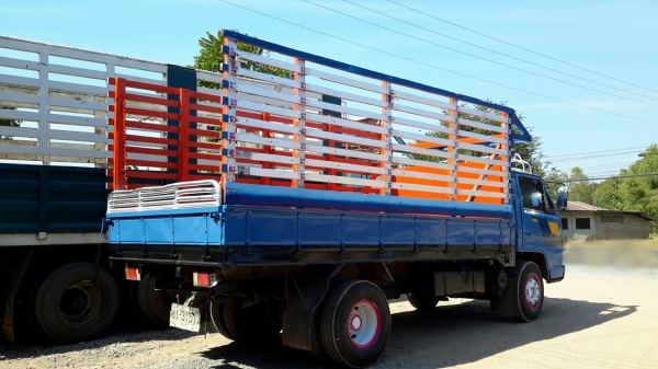 ขาย6ล้อ ISUZU NPR เครื่องดี4HG1 130แรง ช่วงล่างใหญ่Fหลัง กระบะยาว4.3ม. โครงสร้างรถห้างแท้ จดทะเบียนปี2535 เครื่องดี แชชซีสวย เอกสารพร้อมโอน ดูรถได้ที่ อ.ประทาย จ.นครราชสีมา (ราคา370000บาท)โทร.0857698049 0887115178 ID LINE ps5599