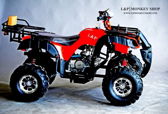 #จัดโปโมชั่นต้อนรับปีใหม่ 2016.จัดโปรใหม่  BIG BEAR 150cc (เครื่อง 125 cc) ลดราคาพิเศษคุ้มสุดๆ ราคาเริ่มต้นที่...