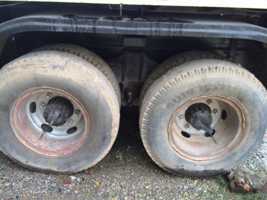 10 ล้อ เพลาเดียว 168 แรง ISUZU หัวเจวางเครื่อง EH700 คัสซี 3087132