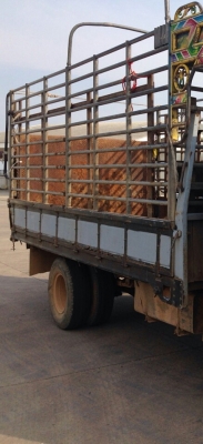 ขายหกล้อ 325,000บ อีซูชุ NPR120ปี39 ช่วงยาว4.30ม พร้อมใช้งาน ทะเบียนพร้อมโอน