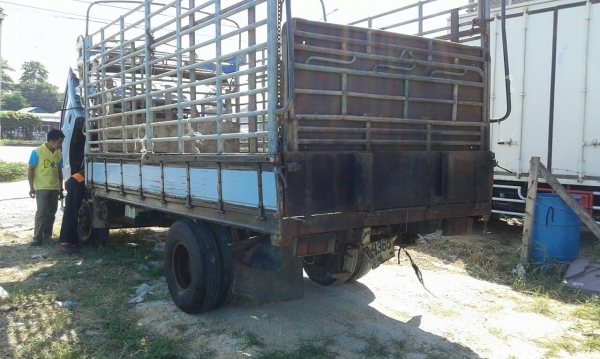 ขายหกล้อ 325,000บ อีซูชุ NPR120ปี39 ช่วงยาว4.30ม พร้อมใช้งาน ทะเบียนพร้อมโอน