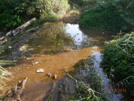 ที่ดิน เขาใหญ่ 1 ไร่