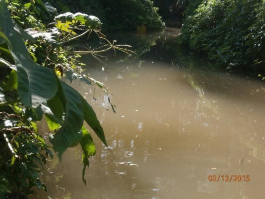 ที่ดิน เขาใหญ่ 1 ไร่ ที่ดิน เขาใหญ่ 1 ไร่